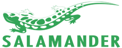 ΠΡΠΏΠΈΡΡ ΠΠΊΠ½Π° Salamander Π² ΠΠΈΠ½ΡΠΊΠ΅